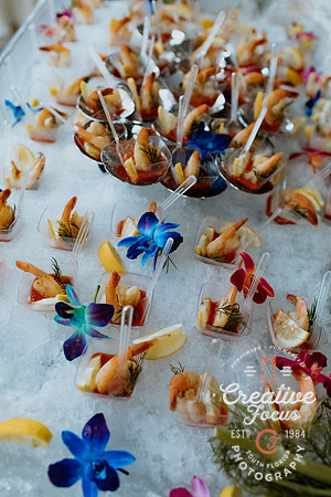 CreativeFocusInc_0100