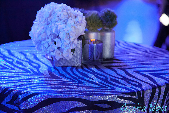 023_©CreativeFocus