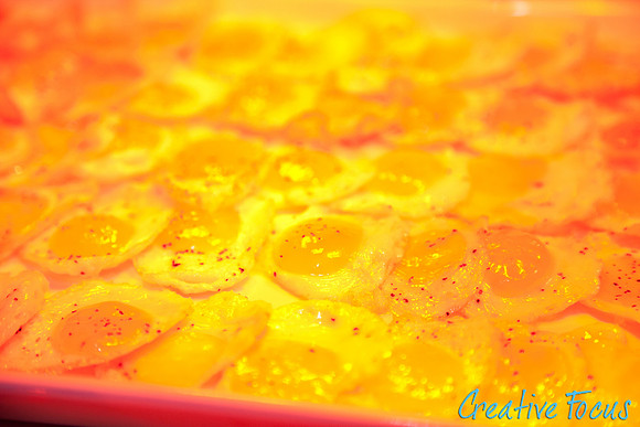 092_©CreativeFocus