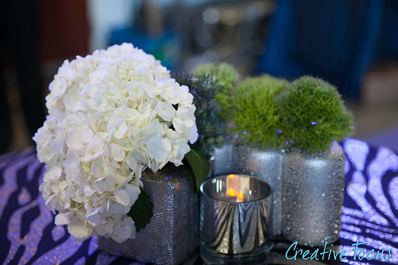 030_©CreativeFocus