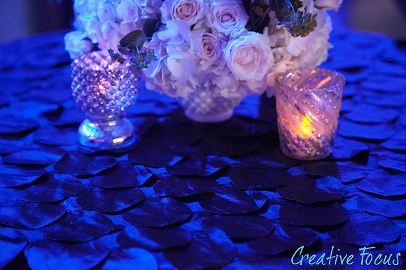025_©CreativeFocus