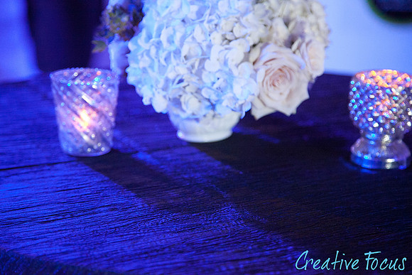 024_©CreativeFocus