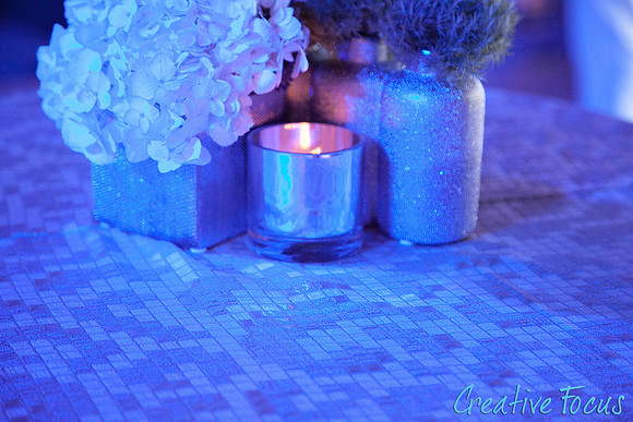026_©CreativeFocus