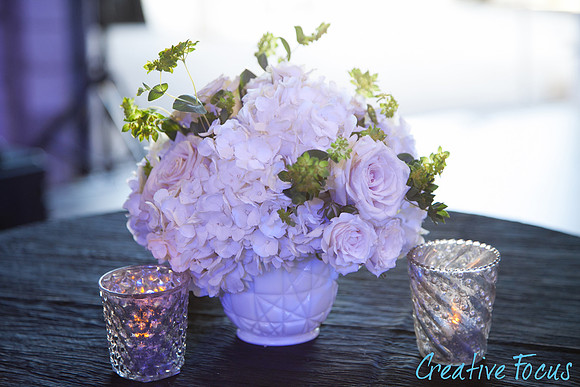 029_©CreativeFocus