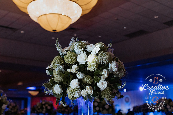 CreativeFocusInc_0027