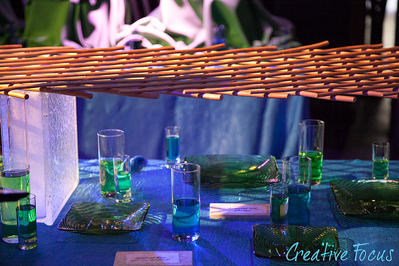 062_©CreativeFocus