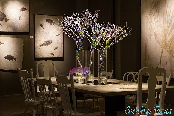 027_CreativeFocus
