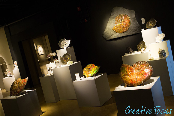 029_CreativeFocus