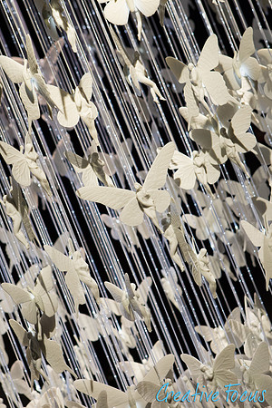 032_CreativeFocus