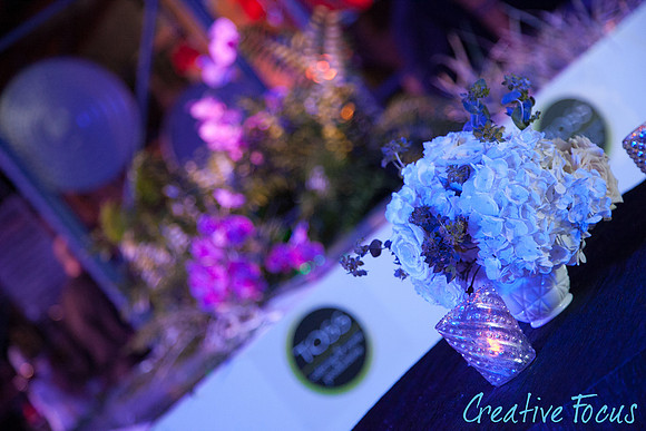 078_©CreativeFocus