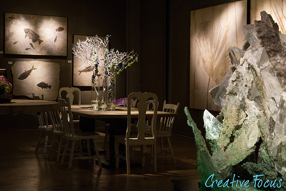 024_CreativeFocus