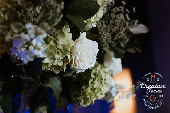 CreativeFocusInc_0026