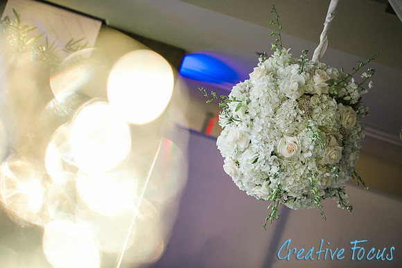 241_CreativeFocusInc