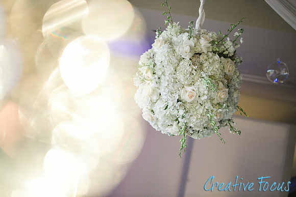 240_CreativeFocusInc