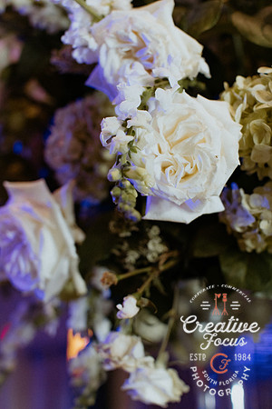 CreativeFocusInc_0025