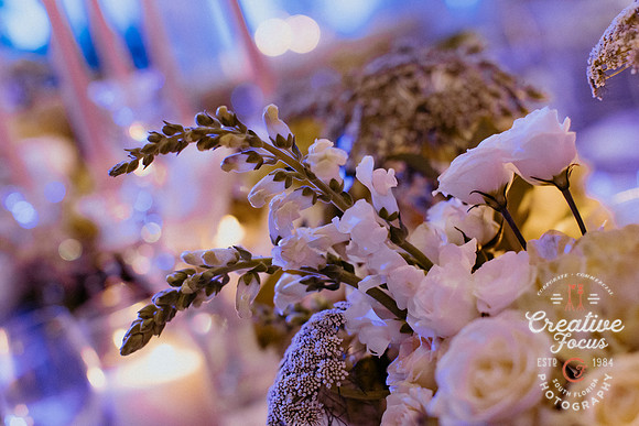 CreativeFocusInc_0122