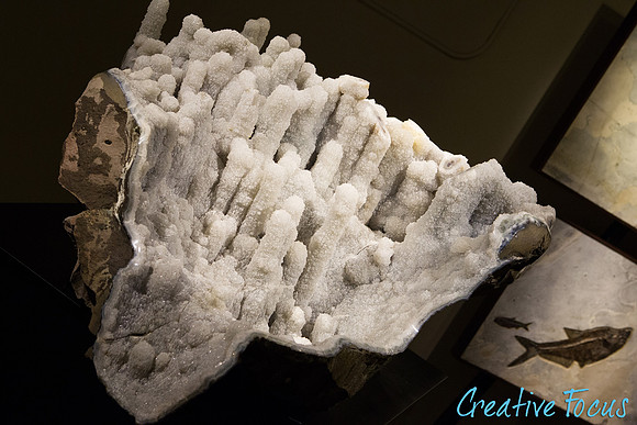 028_CreativeFocus