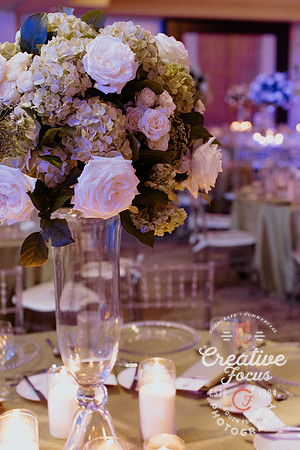 CreativeFocusInc_0075